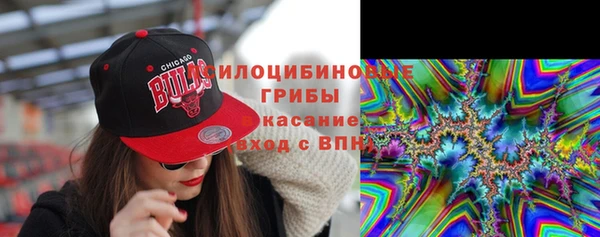 гидра Балахна